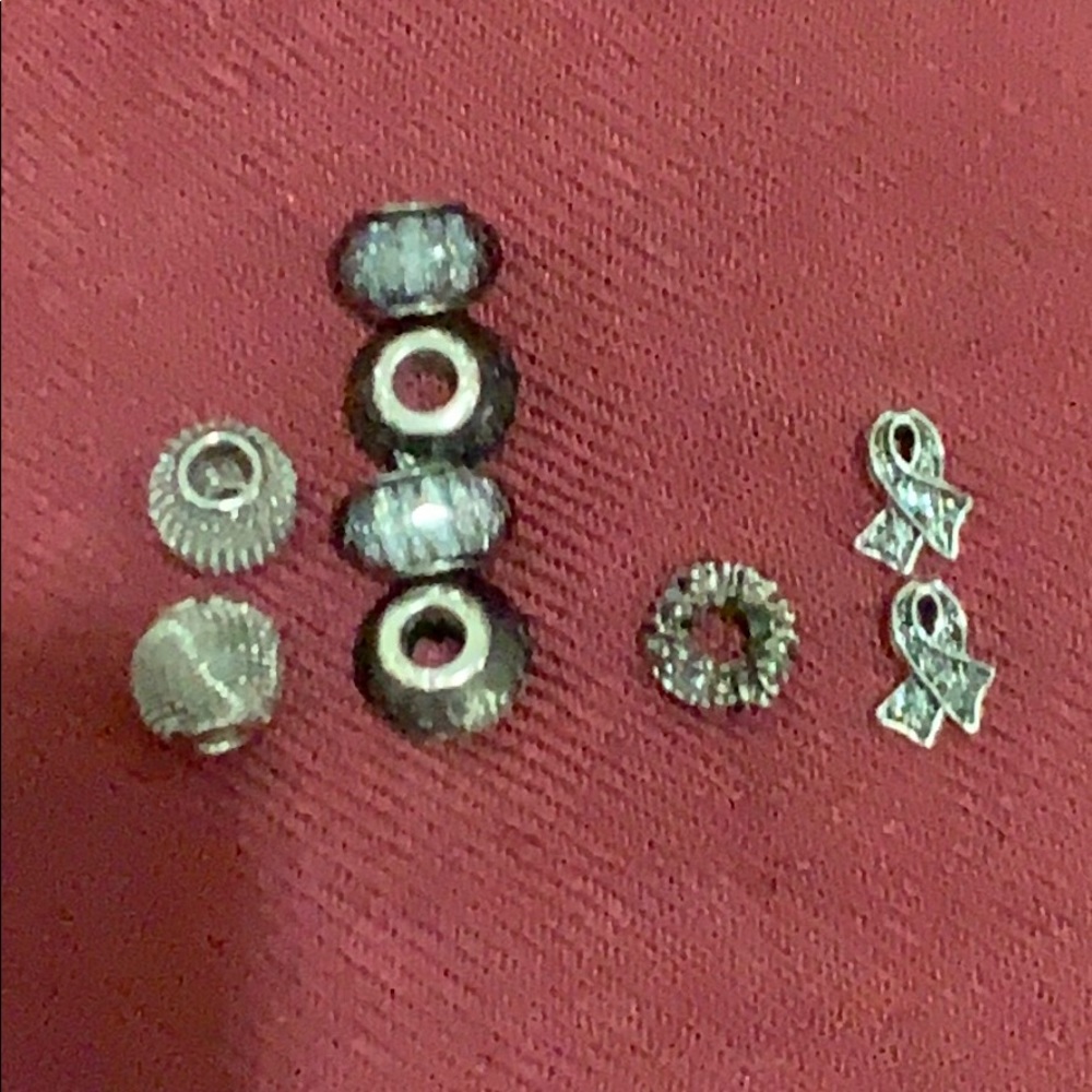 Pandora charms